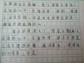 關(guān)于寫陌生人的作文好的開頭結(jié)尾