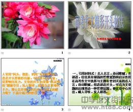 其實很美高中作文開頭