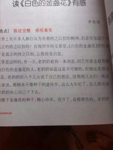 作文寫名言警句的啟示作文開頭