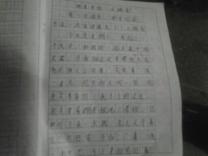 調(diào)查報(bào)告范文五百字(調(diào)查報(bào)告范文五百字)