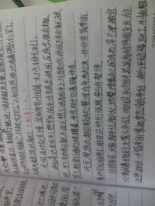 回憶高一軍訓的作文開頭結尾