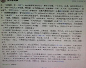 心中的花一直都在600作文開頭