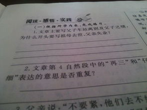 以爸爸背影為題的作文開頭結尾