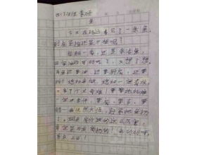 2020走在幸福的路上作文開頭怎么寫