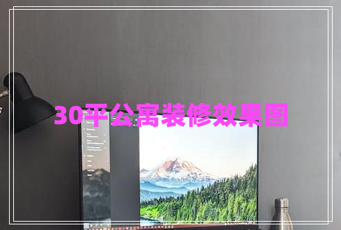 30平公寓裝修效果圖