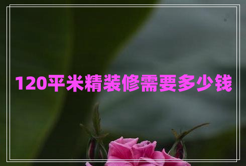 120平米精裝修需要多少錢(qián)