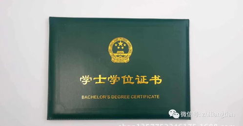 有沒有自考本科不要學位的