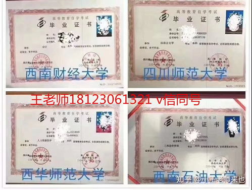 女生自考本科適合什么專業(yè)