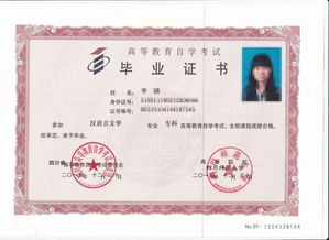 環(huán)藝設(shè)計(jì)本科自考