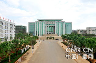 自考的本科畢業(yè)證書會寫什么