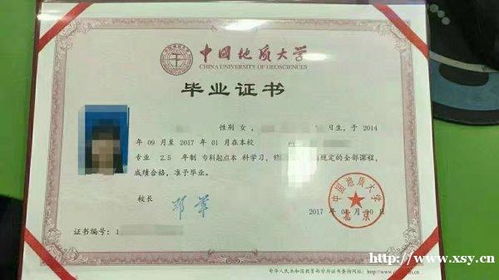 遠(yuǎn)程?？颇軋?bào)自考本科