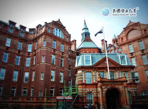 本科自考ucl讀研