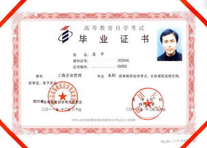 大專北大自考本科