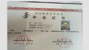 自考大專和本科哪個好一點