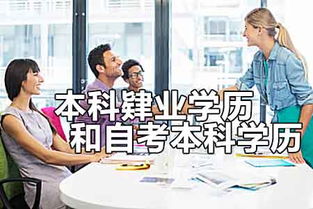 本科肄業(yè)自考本科