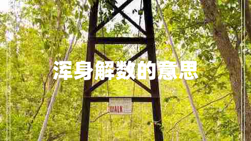 渾身解數(shù)的意思 渾身解數(shù)的意思