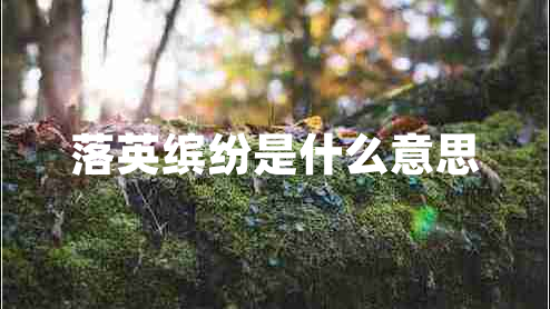 落英繽紛是什么意思 落英繽紛是什么意思