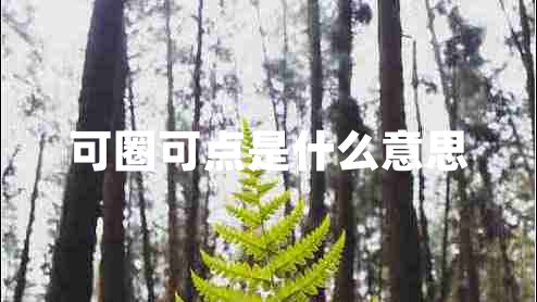 可圈可點是什么意思