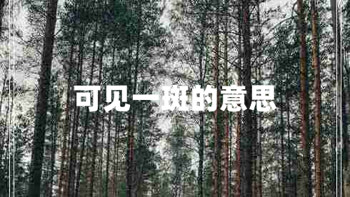 可見一斑的意思