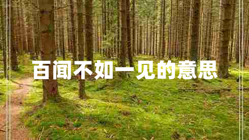 百聞不如一見(jiàn)的意思