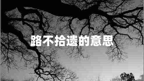 路不拾遺的意思