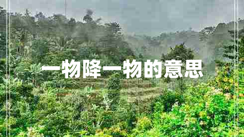 一物降一物的意思 一物降一物的意思