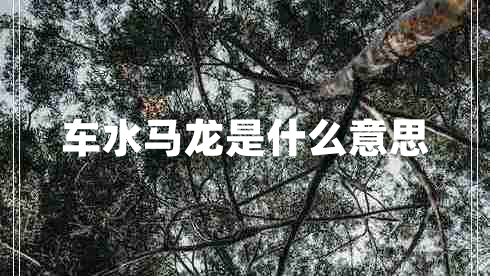 車水馬龍是什么意思