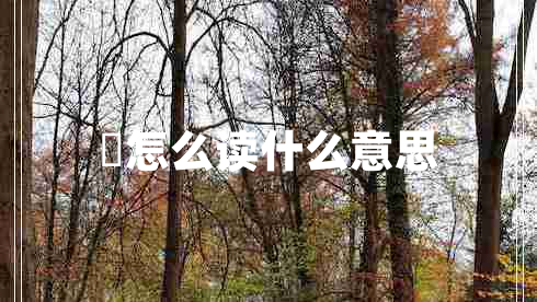 曌怎么讀什么意思