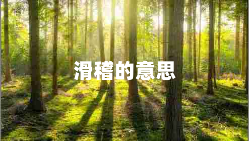 滑稽的意思 滑稽的意思