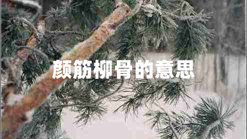 顏筋柳骨的意思 顏筋柳骨的意思