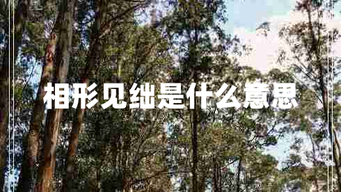 相形見(jiàn)絀是什么意思 相形見(jiàn)絀是什么意思