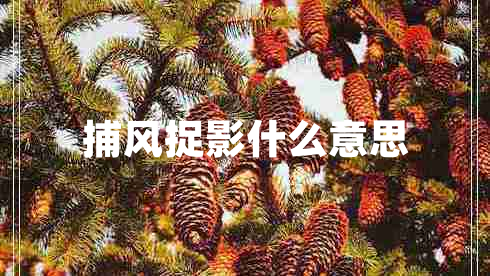 捕風捉影什么意思