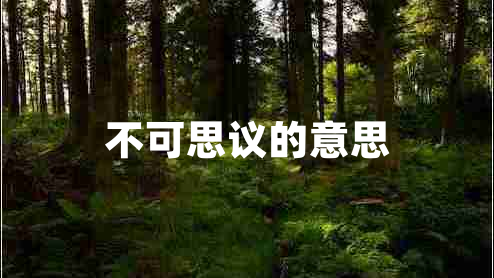 不可思議的意思 不可思議的意思