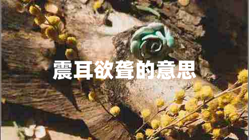 震耳欲聾的意思