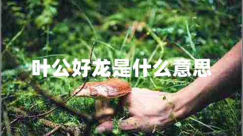 葉公好龍是什么意思 葉公好龍是什么意思