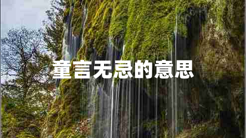 童言無忌的意思