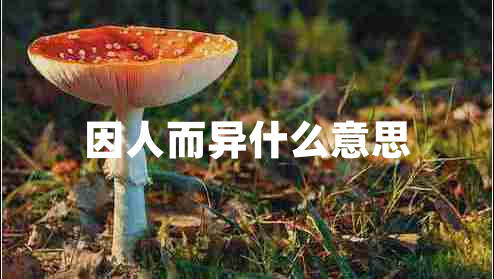 因人而異什么意思