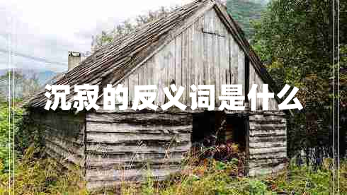 沉寂的反義詞是什么