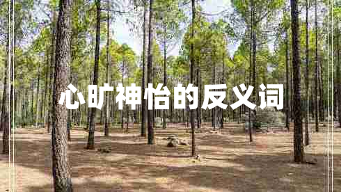 心曠神怡的反義詞