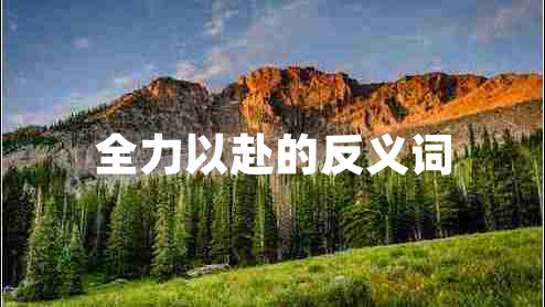 全力以赴的反義詞 全力以赴的反義詞