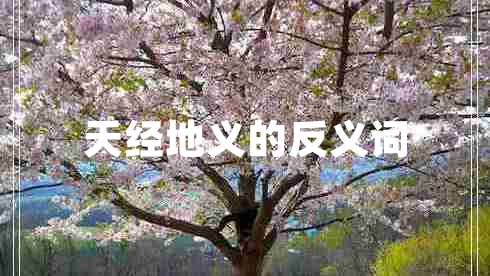 天經(jīng)地義的反義詞