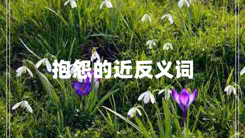 抱怨的近反義詞