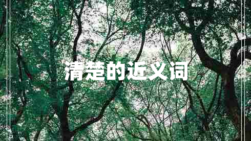 清楚的近義詞