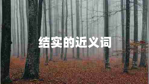 結(jié)實(shí)的近義詞