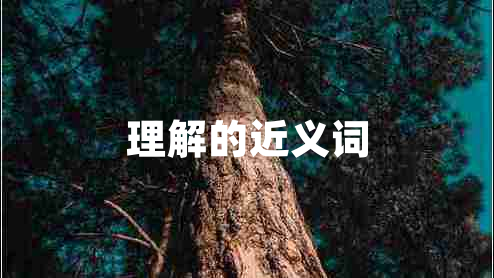 理解的近義詞