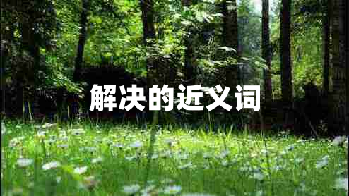 解決的近義詞