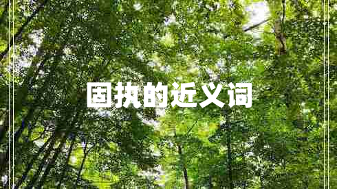 固執(zhí)的近義詞