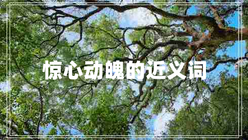 驚心動(dòng)魄的近義詞