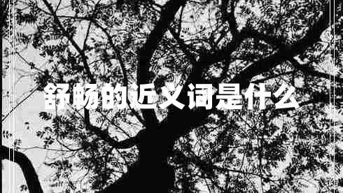 舒暢的近義詞是什么