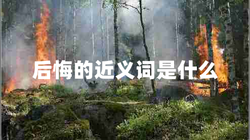 后悔的近義詞是什么